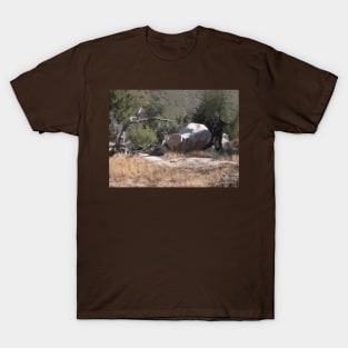 Southwest Branch and Rock No. 1 T-Shirt